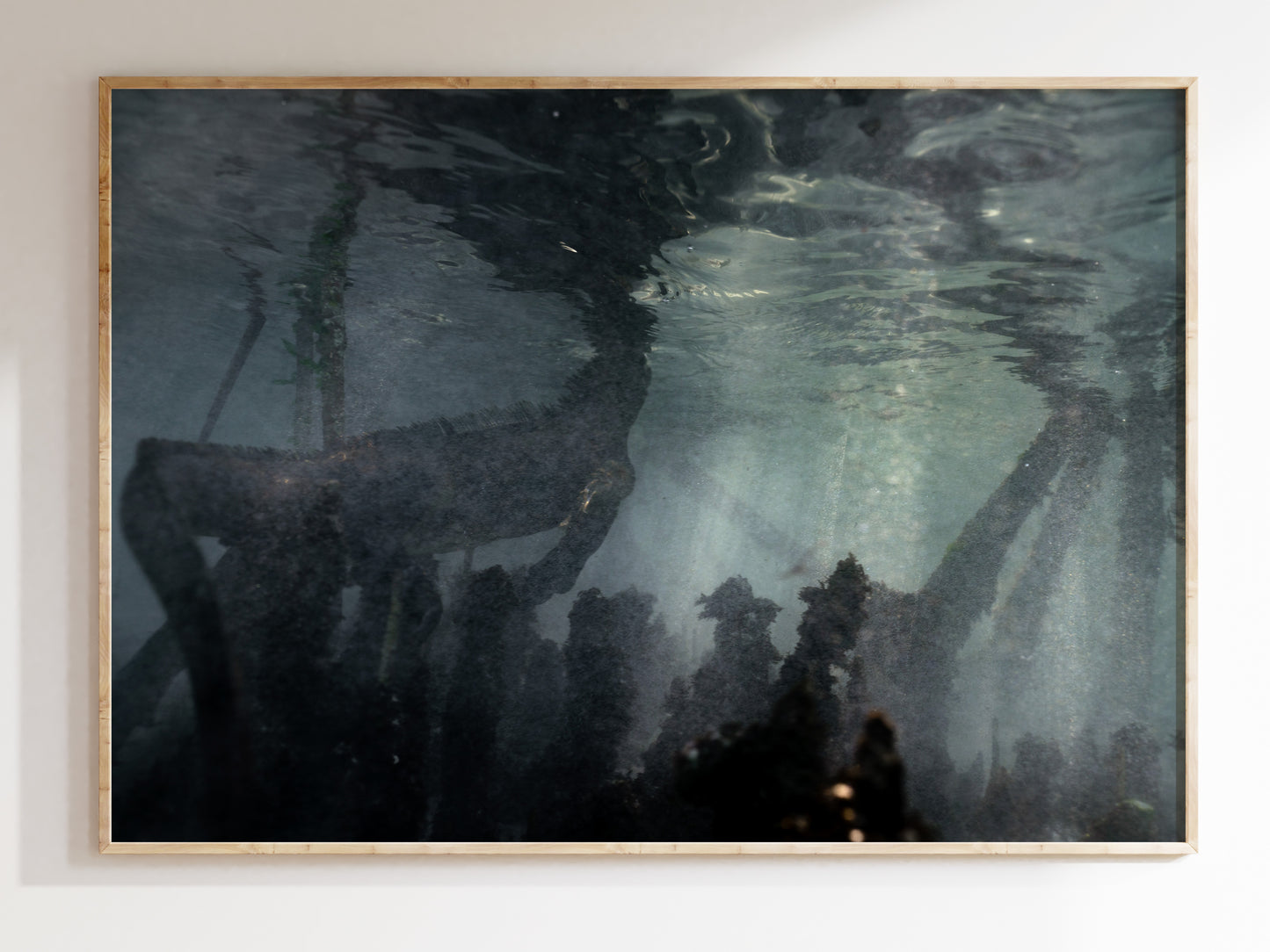 Depths of the Galápagos – Iguana Swimming Underwater Art