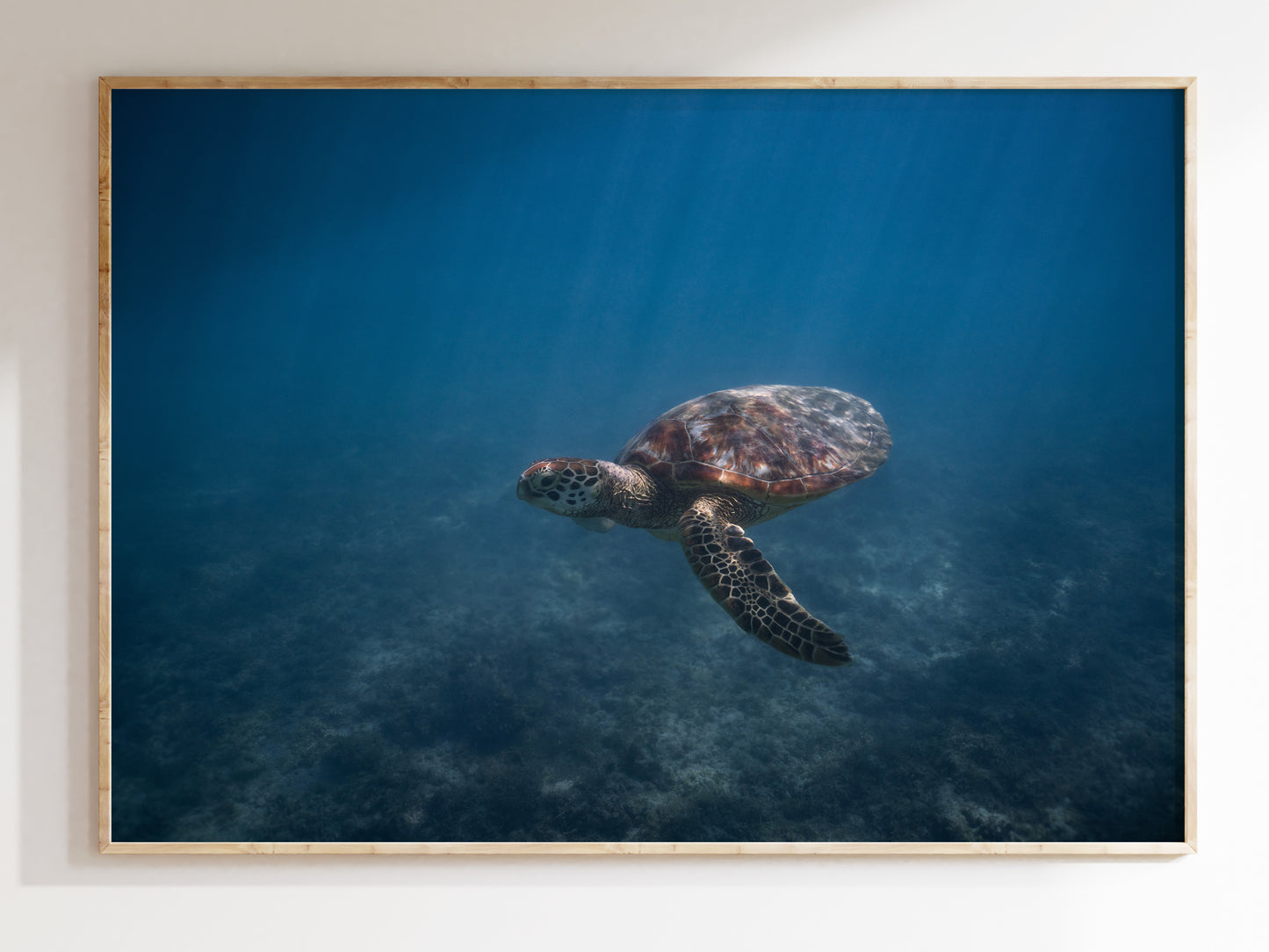 Hawaiian Serenity – Turtle Beneath the Waves Wall Art
