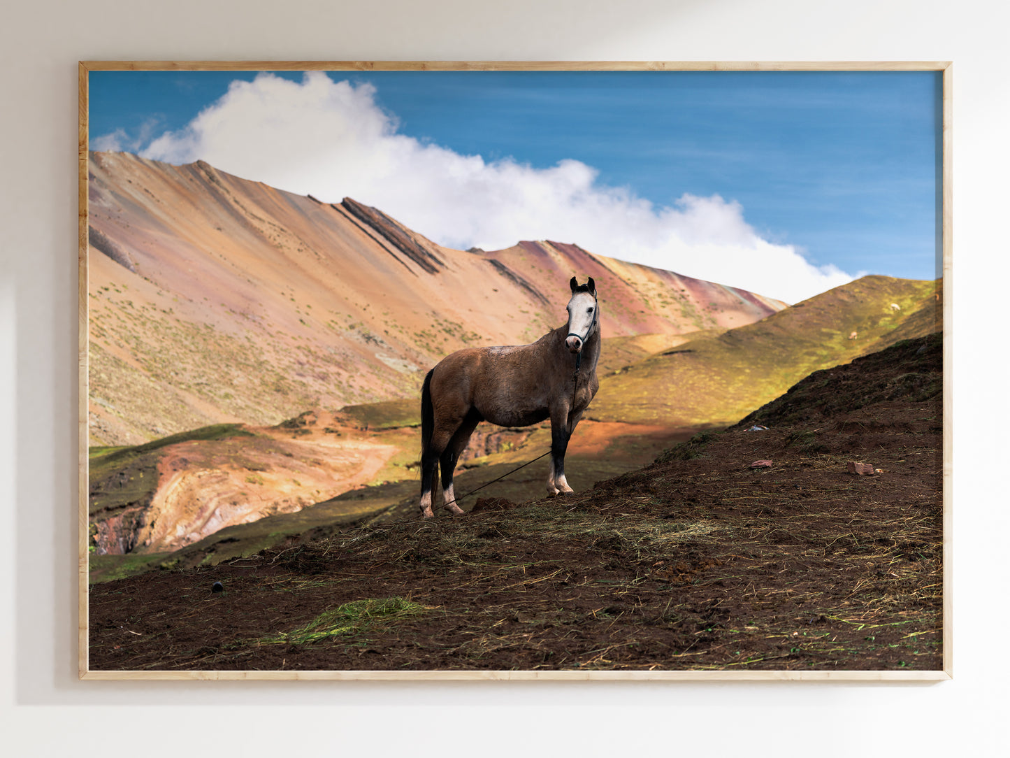 Rainbow Heights – Horse on Peru’s Rainbow Mountain Wall Art