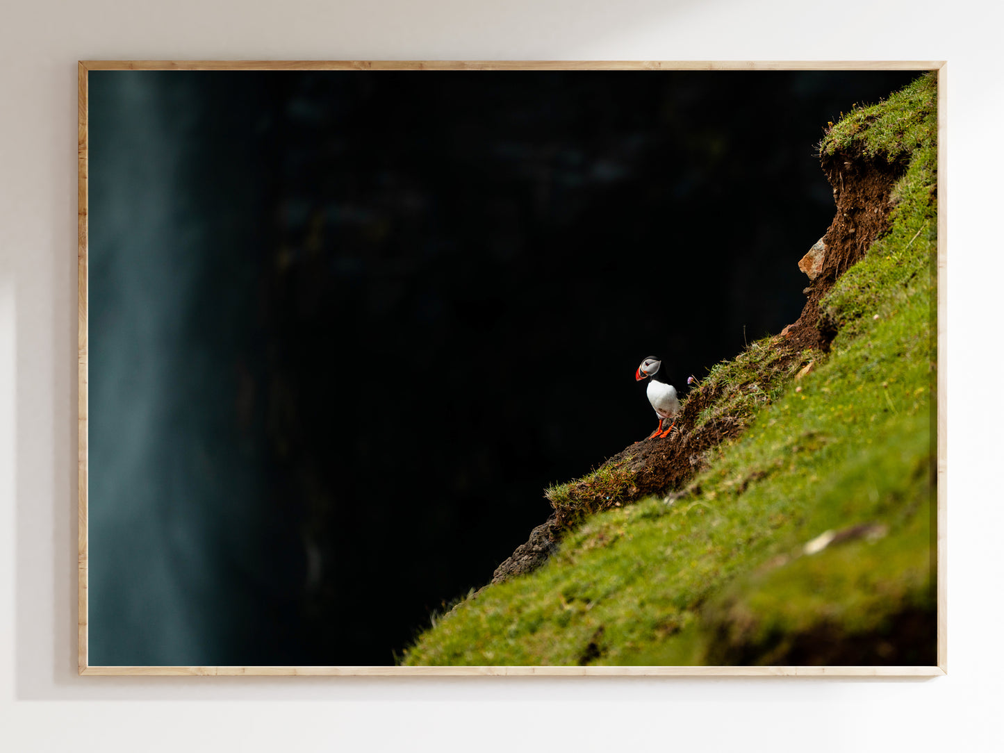 Wings of the Faroes – Puffins in Flight and Rest Print