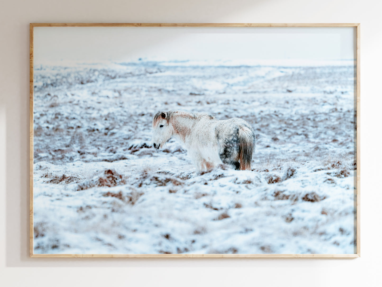 Frozen Majesty – Icelandic Horse Winter Landscape