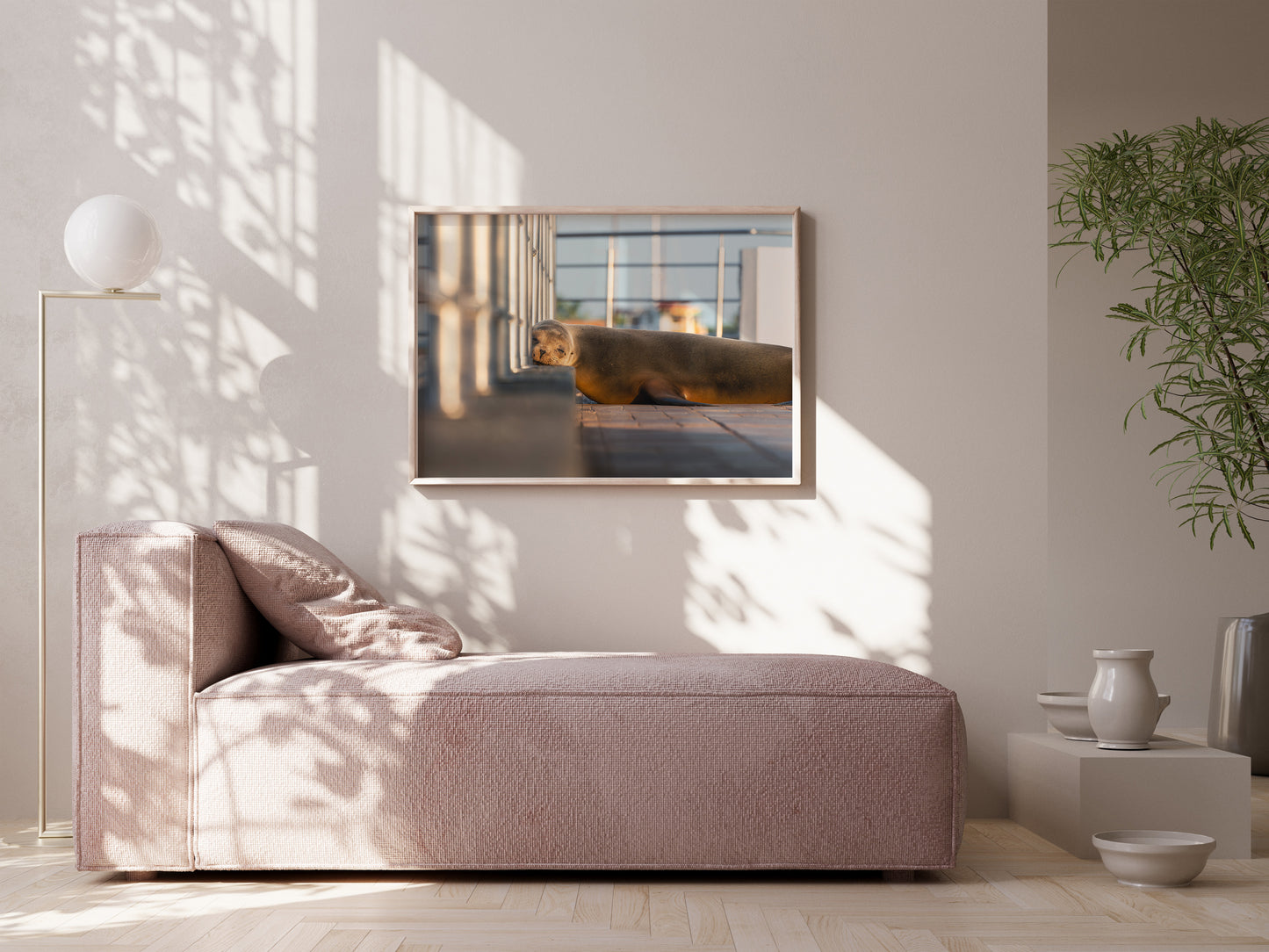 Dreaming by the Sea – Galápagos Sea Lion Wall Decor