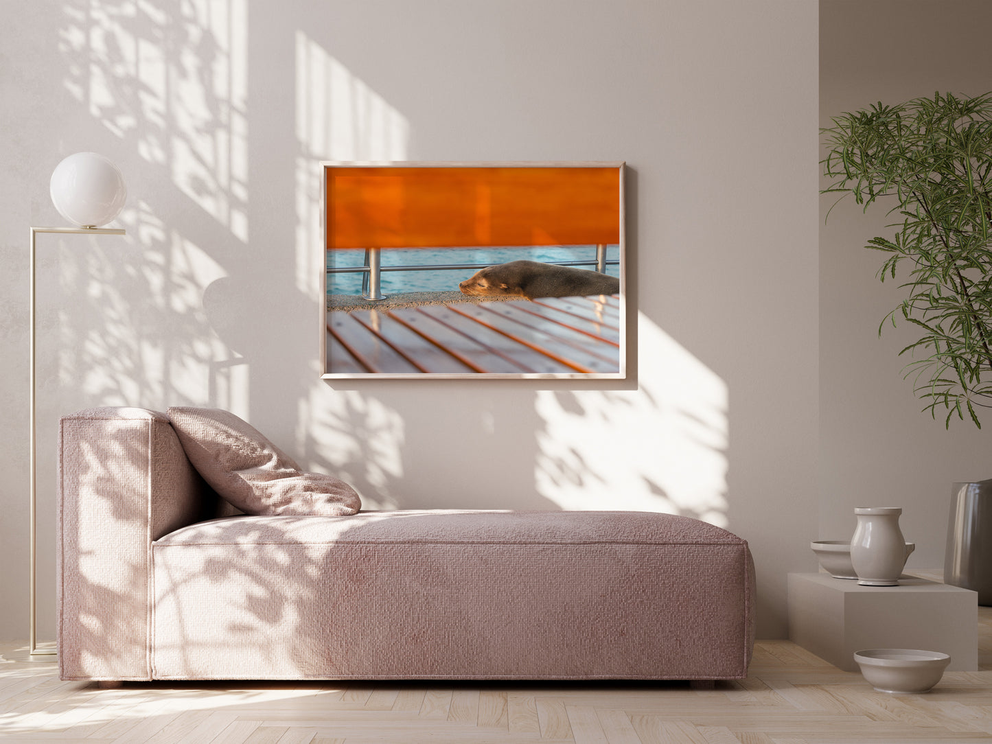 Galápagos Harbor Dreams – Sleeping Sea Lion Wall Art