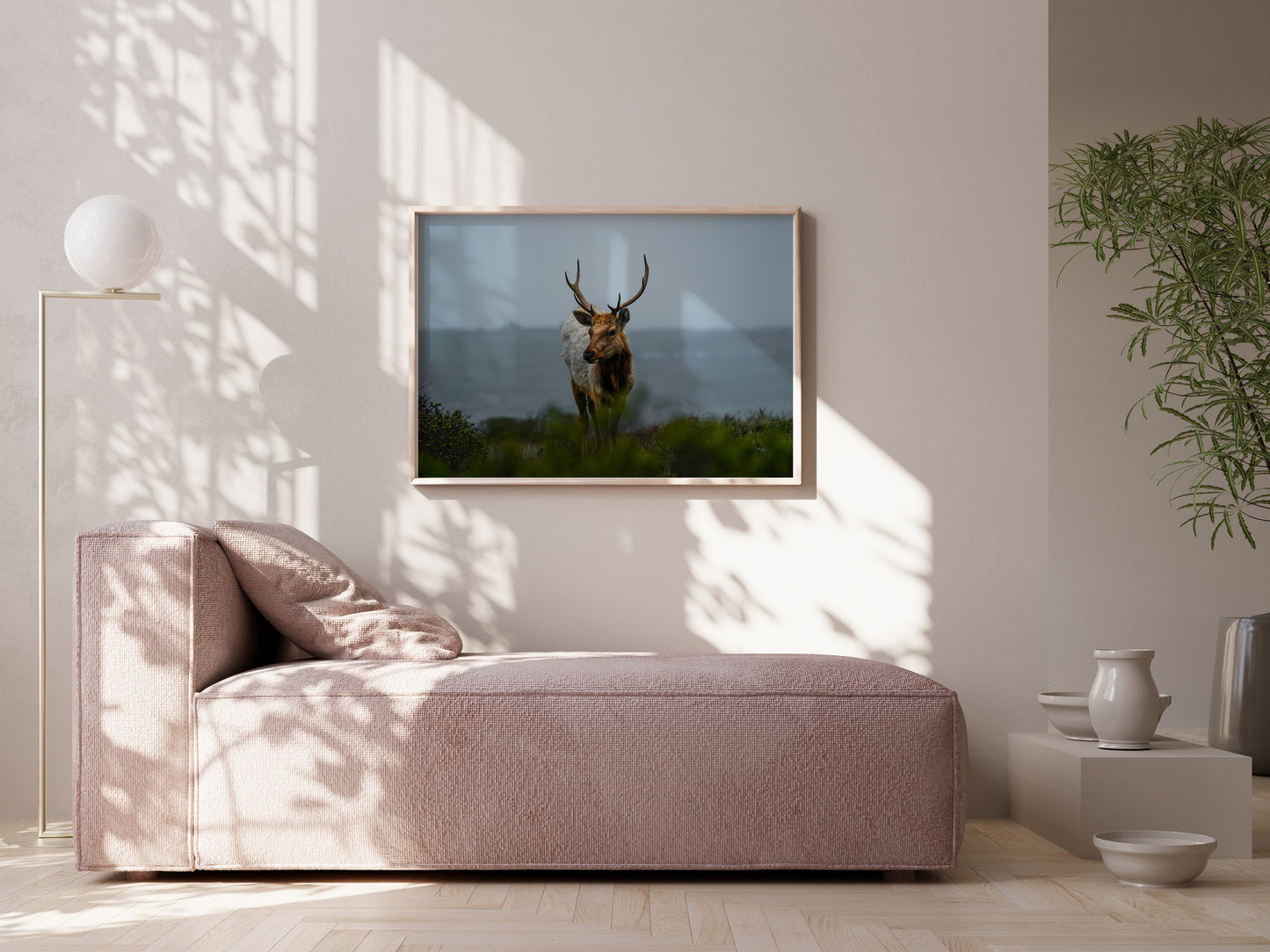 Wild and Free – Elk of Tomales Point Wall Art