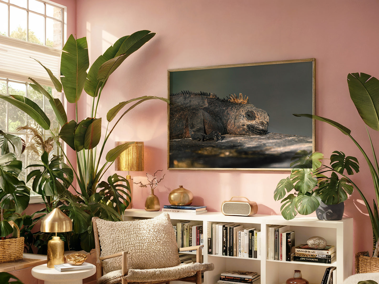 Resting in Paradise – Marine Iguana of the Galápagos Print
