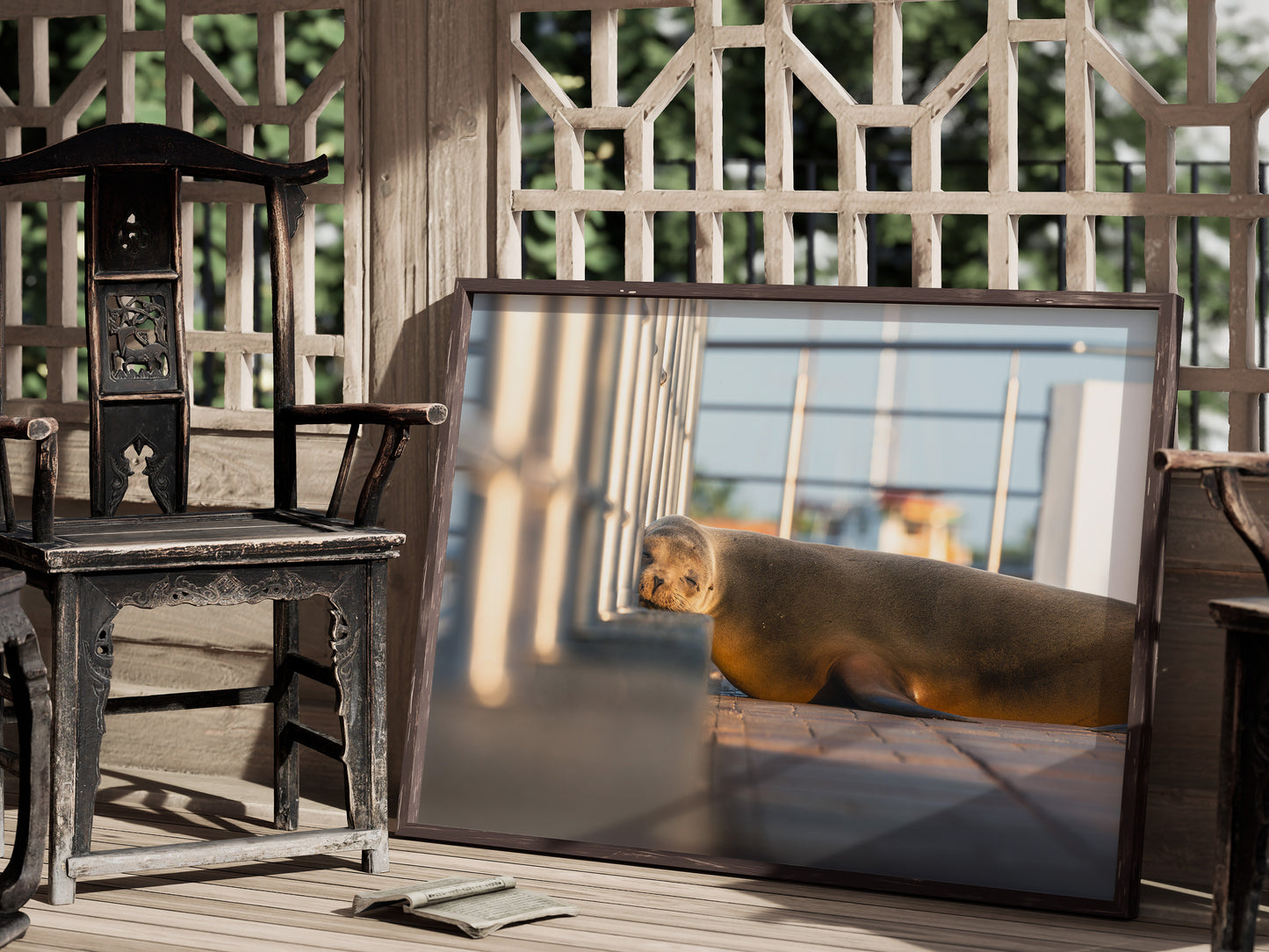 Dreaming by the Sea – Galápagos Sea Lion Wall Decor
