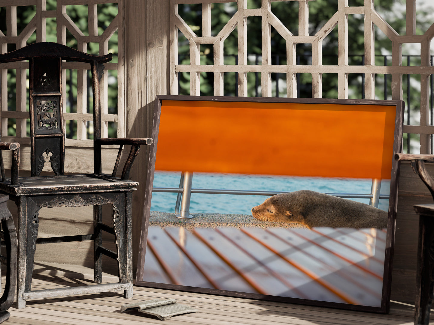 Galápagos Harbor Dreams – Sleeping Sea Lion Wall Art