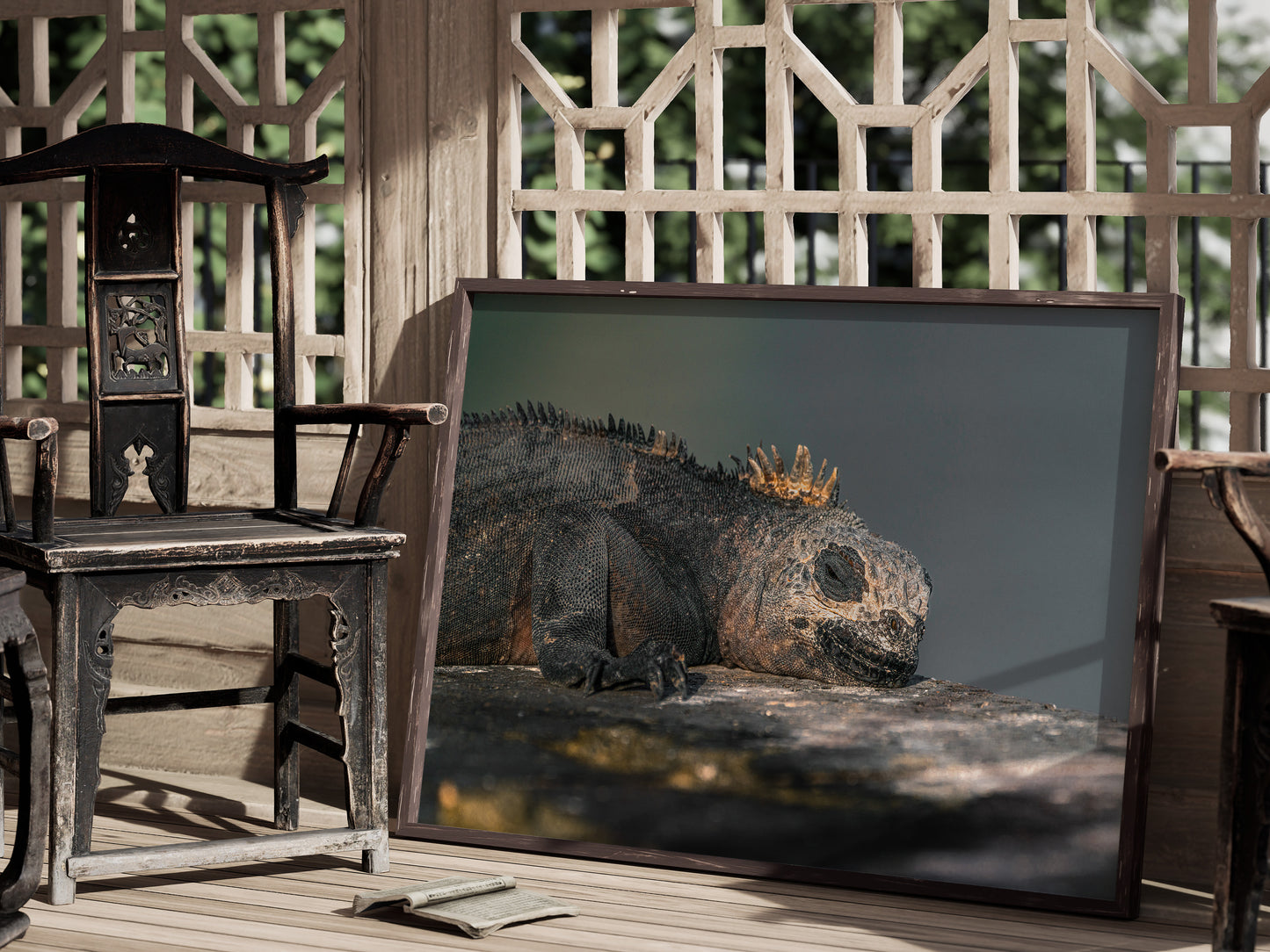 Resting in Paradise – Marine Iguana of the Galápagos Print