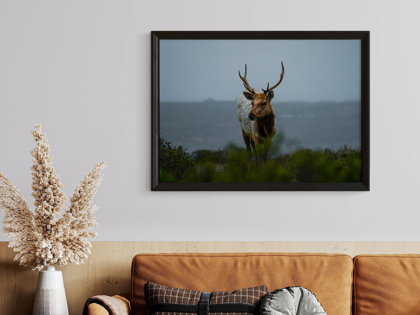 Wild and Free – Elk of Tomales Point Wall Art