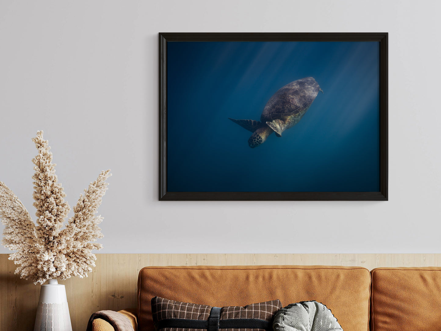 Gentle Glider – Hawaiian Green Sea Turtle Underwater Print