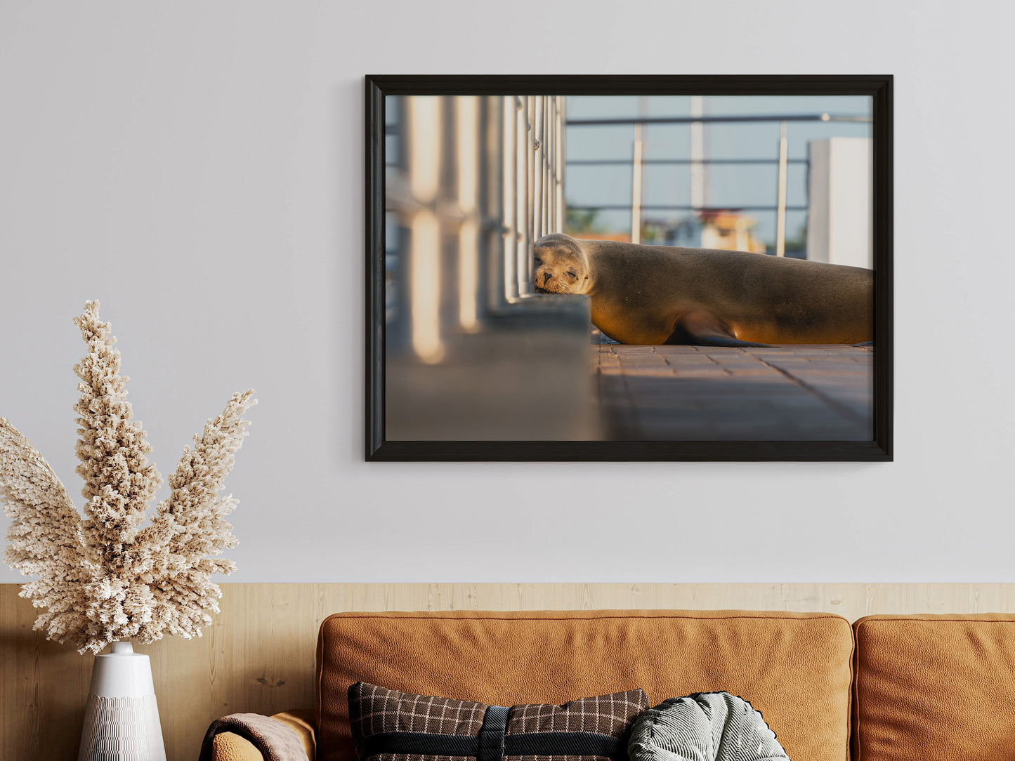 Dreaming by the Sea – Galápagos Sea Lion Wall Decor