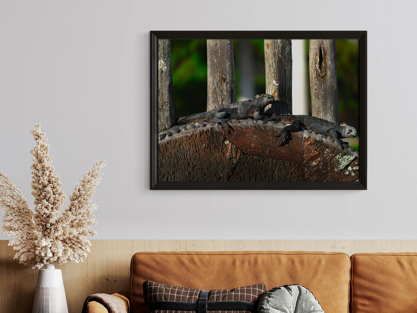 Island Rest – Lounging Marine Iguanas on the Galápagos Pie
