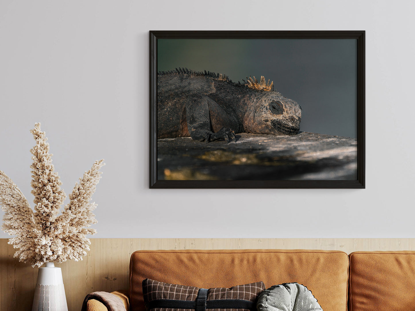 Resting in Paradise – Marine Iguana of the Galápagos Print