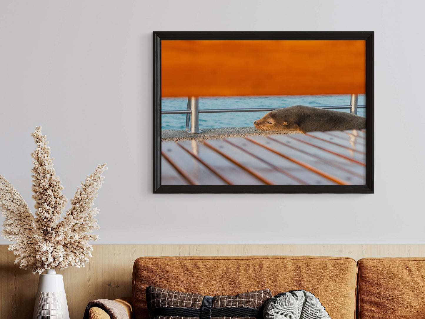 Galápagos Harbor Dreams – Sleeping Sea Lion Wall Art