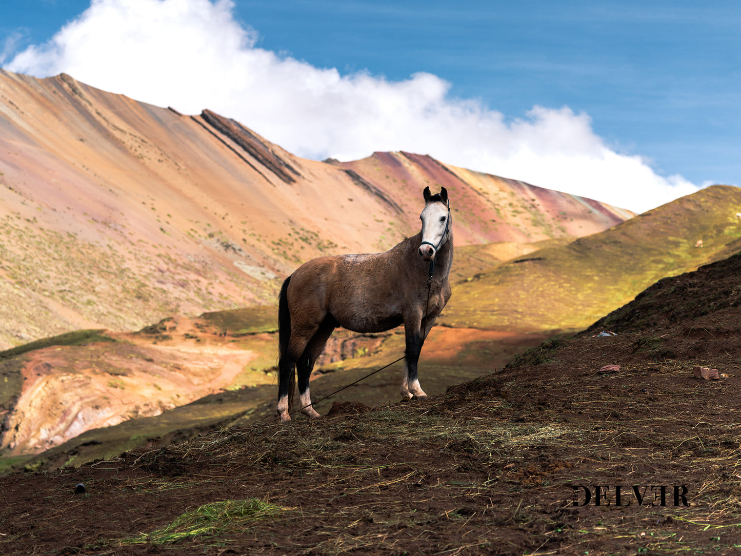 Rainbow Heights – Horse on Peru’s Rainbow Mountain Wall Art