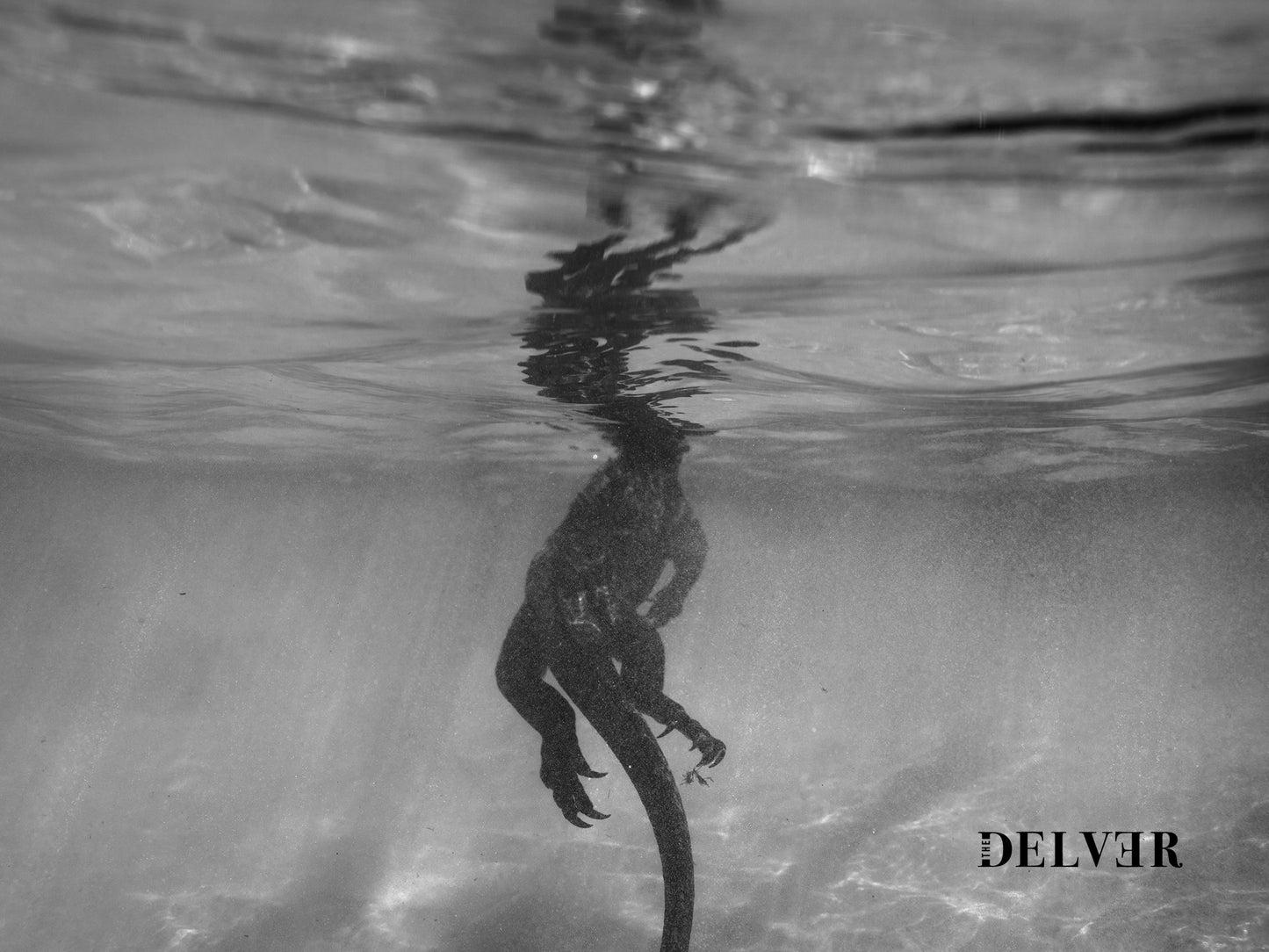 Flowing Grace – Underwater Marine Iguana Print