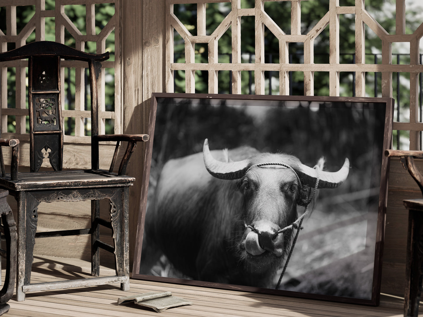 Timeless Elegance – Black & White Carabao in the Philippine Fields