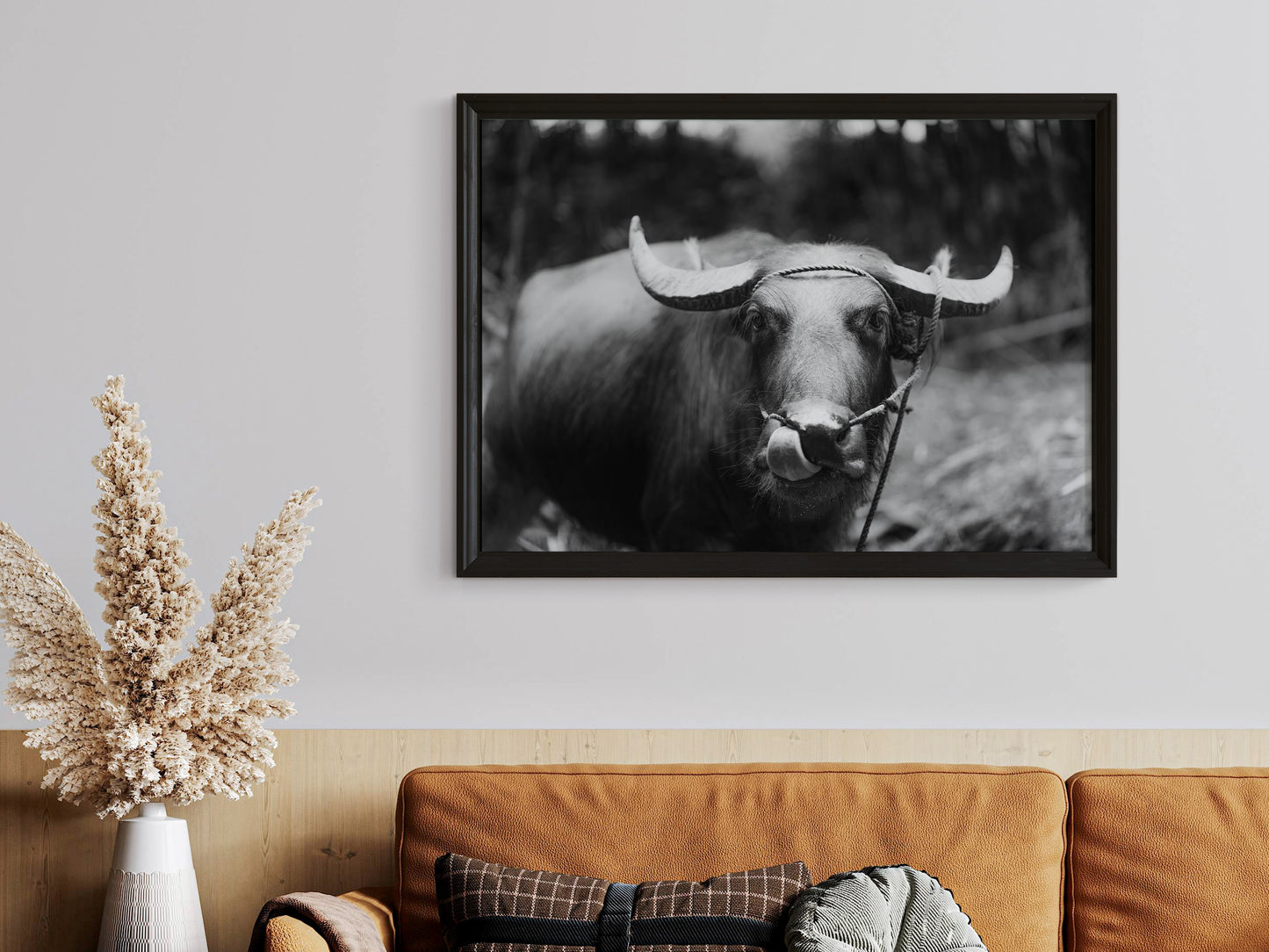 Timeless Elegance – Black & White Carabao in the Philippine Fields